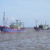 PM orders urgent actions to curb illegal fishing