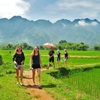 Vietnam hosts over 1 million foreign visitors in July