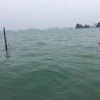 Quang Ninh: ship sinks, all 31 Chinese tourists saved