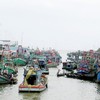 Mekong Delta suffers flood damage