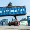 Vinalines provides new cold storage services