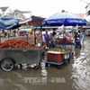Flooding affects Bac Lieu province