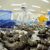 Vietnam, South Korea's largest shrimp supplier