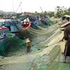 Heavy sanctions on illegal fishing