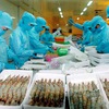 Vietnamese shrimp reaches record high prices