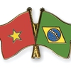 Vietnam and Brazil hold political consultation