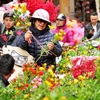 Tet flower markets open in Hanoi