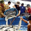 Measures to stop illegal fishing
