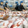 Food safety required for Vietnam's catfish imports to the US
