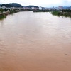 Hanoi Red River consultancy not yet decided