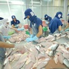 Vietnam to make breakthrough in tra fish export