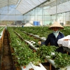 1,4 billion USD disbursed for high tech agriculture