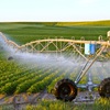 Encouraging hi-tech agriculture