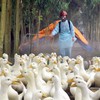 Bird flu outbreak found at a Vietnamese farm