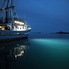 LED technology to be applied in fishing
