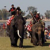 Central highlands’s elephant and boat race