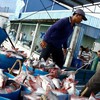 EU issues yellow card over illegal fishing