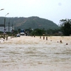 Post-flood assessments in Binh Dinh