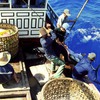 NA to keep tabs on fishermen’s compensation