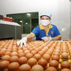 HCM City tracing poultry origins