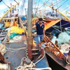PM gets faulty boats report