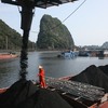 OK for coal trans-shipment port