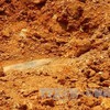 Thanh Hóa finds 1m-long bomb