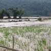 Flood prevention in Northwest Vietnam