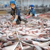 More barriers for Vietnamese fishery exports