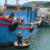 Ha Tinh province stabilizes production for fishermen