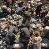 Solution to urban waste treatment needed