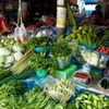 64% of vegetables in Thailand are unsafe