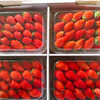 South Korean strawberries imported