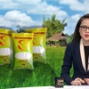 Vietnam’s ST24 rice in top 3 best rice varieties in the world