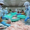 Seafood export see good prospects in 2017