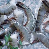 Japan consumes most Vietnamese shrimp
