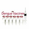 Dengue fever vaccine tested