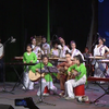 Overseas Vietnamese artists promotes traditional Vietnamese music