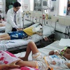 Dengue fever spikes in Hanoi
