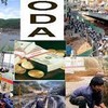 Draft decree on ODA management published