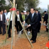 President launches tree-planting festival
