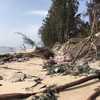 Erosion in Binh Thuan investigated