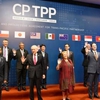 Vietnamese enterprises expect benefits from CPTPP trade deal