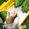 Vietnam’s fruit and vegetable exports hit US$1.62 billion in five months