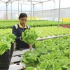 Vietnam calls on Swiss investors in agriculture