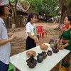 Bau Truc pottery applied for UNESCO recognition as intangible cultural heritage