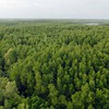 Finland helps Vietnam build forestry database