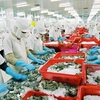 Vietnam’s seafood exports hit US$4.63 billion in first seven months