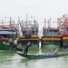 Quang Binh moves to prevent illegal, unreported fishing