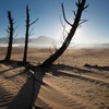 Cape Town drought declared a 'national disaster'